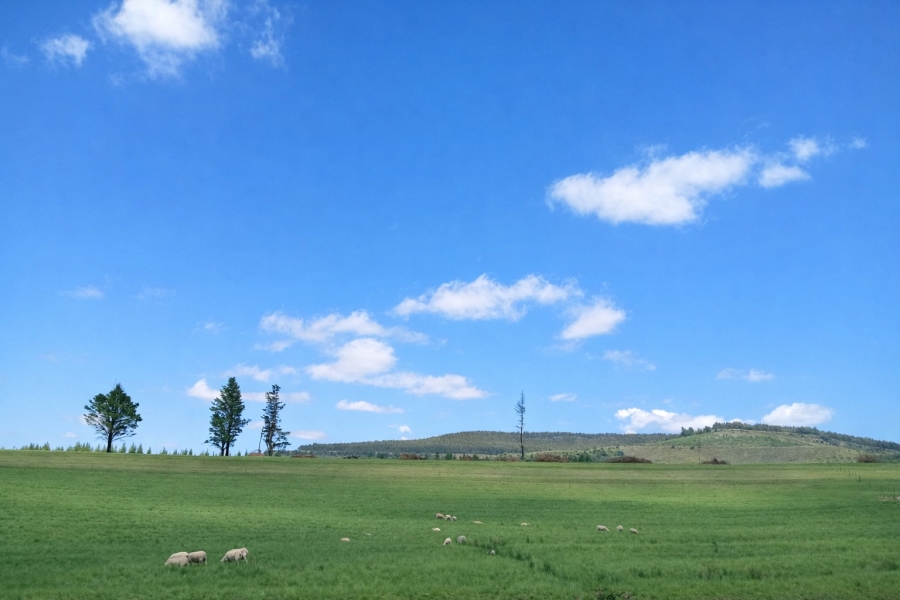 3 Bedroom Property for Sale in Maclear Rural Eastern Cape